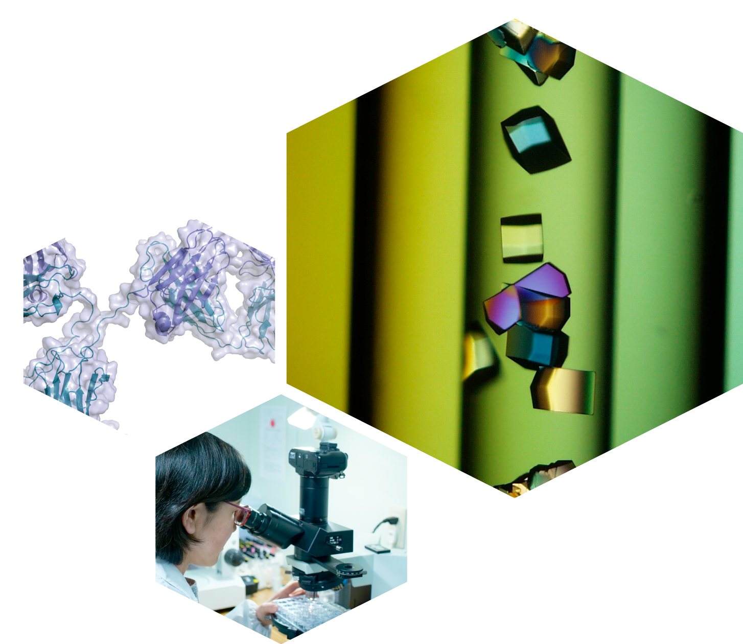 Bioscience business